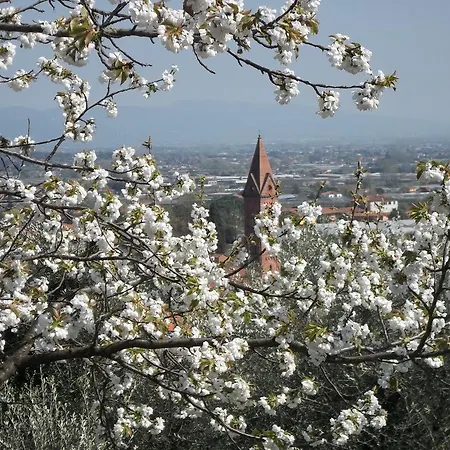 Il Campano Appartement Collodi