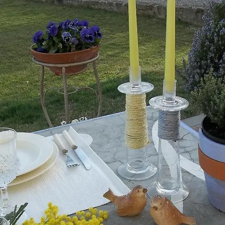 Il Campano Appartement Collodi