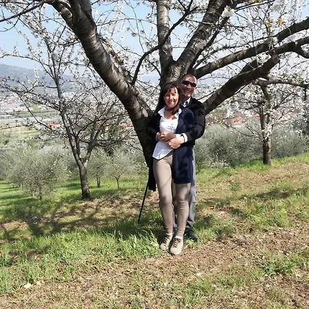 Il Campano Appartement Collodi
