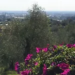 Il Campano *