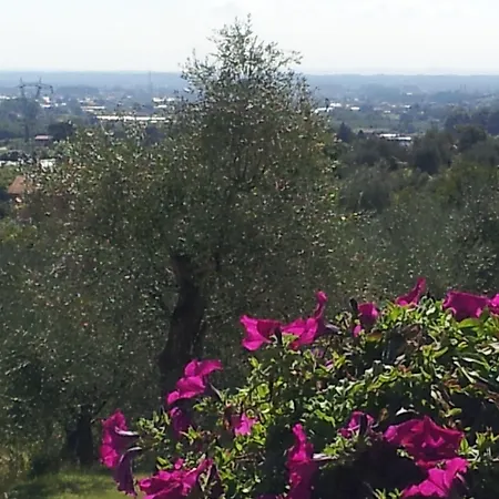 Il Campano *