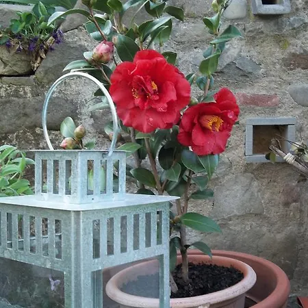 Il Campano Apartment *