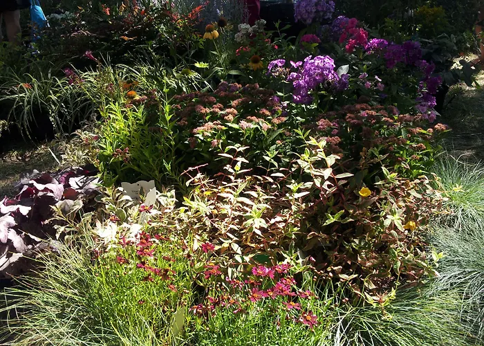 Il Campano Апартаменты *