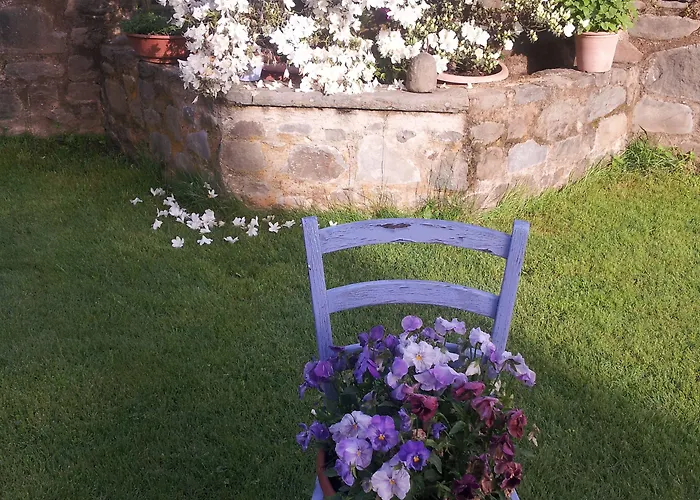 Il Campano Апартаменты Коллоди