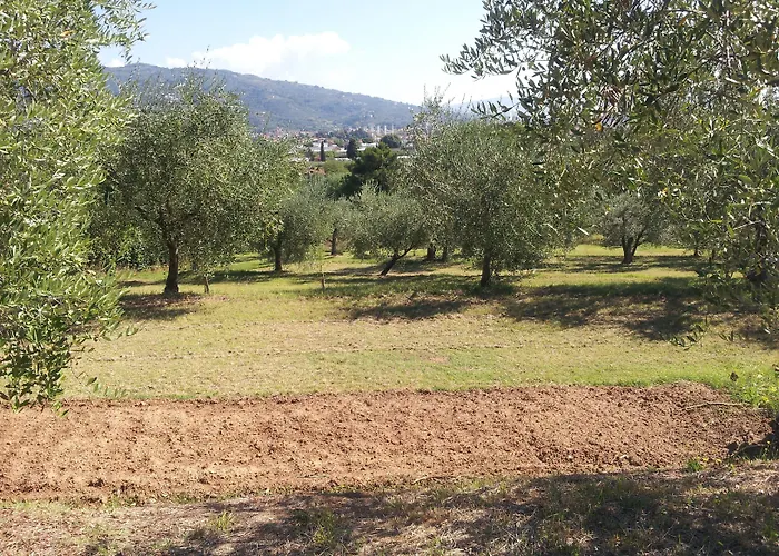 Апартаменты Il Campano *