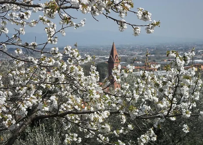 Il Campano Апартаменты Коллоди