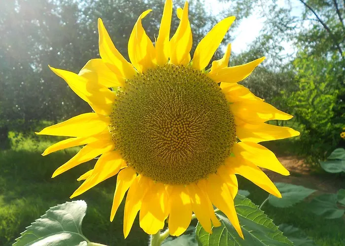 Апартаменты Il Campano