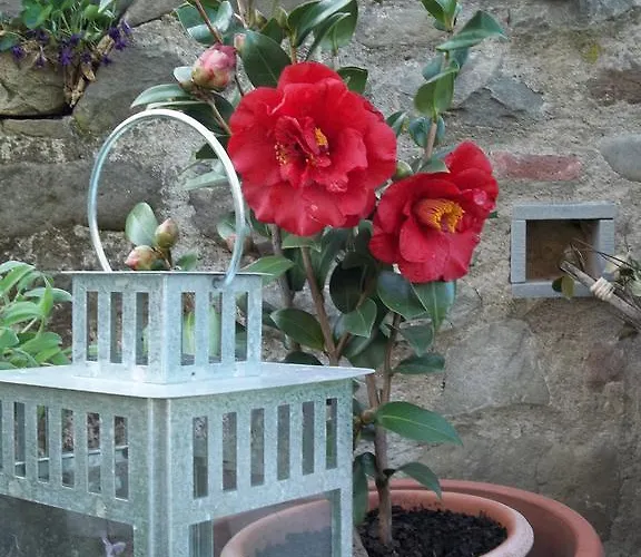 Il Campano Апартаменты *